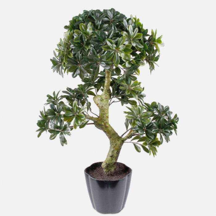 Dirbtinis augalas BONSAI Dirbtinis augalas BONSAI